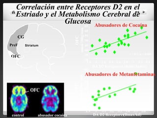 Correlación entre Receptores D2 en el Estriado y el Metabolismo Cerebral de Glucosa 30 35 40 45 50 55 60 65 1.8 2 2.2 2.4 2.6 2.8 3 3.2 3.4 DA D2 Receptores (Ratio Index) OFC umol/100g/min r = 0.7, p < 0.001 OFC umol/100gr/min DA D2 Receptores (Bmax/kd) Abusadores de Cocaína r = 0.7, p < 0.005 Abusadores de Metanfetaminas Striatum CG PreF OFC 30 40 50 60 70 80 90 2.9 3 3.1 3.2 3.3 3.4 3.5 3.6 control  abusador cocaína 