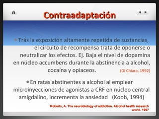 Contraadaptación Trás la exposición altamente repetida de sustancias,  el circuito de recompensa trata de oponerse o neutralizar los efectos. Ej. Baja el nivel de dopamina en núcleo accumbens durante la abstinencia a alcohol, cocaína y opiaceos.  (Di Chiara, 1992) En ratas abstinentes a alcohol al emplear microinyecciones de agonistas a CRF en núcleo central amigdalino, incrementa la ansiedad  (Koob, 1994) Roberts, A. The neurobiology of addiction. Alcohol health research world. 1997 