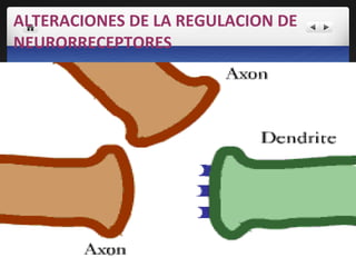 ALTERACIONES DE LA REGULACION DE NEURORRECEPTORES 