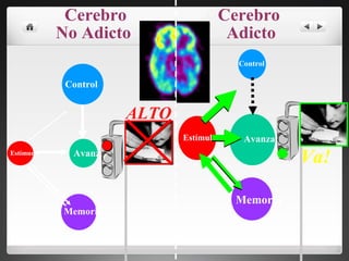 Cerebro No Adicto  Cerebro  Adicto Avanza Estímunlo Memoria Control ALTO Va! Drive Memory Saliency  Control Avanza Memoria Estímulo  