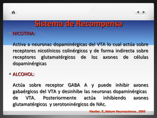 Sistema de Recompensa NICOTINA:  Activa a neuronas dopaminérgicas del VTA lo cual actúa sobre receptores nicotínicos colinérgicos y de forma indirecta sobre receptores glutamatérgicos de los axones de células dopaminérgicas ALCOHOL:  Actúa sobre receptor GABA A y puede inhibir axones gabaérgicos del VTA y desinhibe las neuronas dopaminérgicas  de VTA. Posteriormente actúa inhibiendo axones glutamatérgicos  y serotoninérgicos de NAc.  Nestler, E.,Nature Neuroscience., 2005 