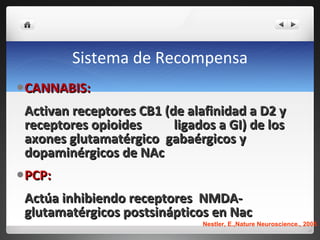 Sistema de Recompensa CANNABIS:  Activan receptores CB1 (de alafinidad a D2 y receptores opioides  ligados a GI) de los axones glutamatérgico  gabaérgicos y dopaminérgicos de NAc PCP:  Actúa inhibiendo receptores  NMDA-glutamatérgicos postsinápticos en Nac Nestler, E.,Nature Neuroscience., 2005 