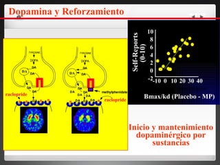T Y R O S I N E D A D O P A D A D A D A D A T Y R O S I N E D A D O P A D A D A D A D A D A D A D A D A D A D A R R R R R R “ Subidón” Dopamina y Reforzamiento raclopride raclopride DA DA Inicio y mantenimiento dopaminérgico por sustancias m e t h y l p h e n i d a t e -10 0 10 20 30 40 -2 0 2 4 6 8 10 Self-Reports (0-10) Recambio dopaminérgico Bmax/kd (Placebo - MP) 