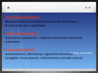 CONTROL INHIBITORIO Corteza Órbitofrontal Representación de la valencia afectiva de un estímulo y  la evaluación de su significado.  Corteza Dorsolateral Anticipación, planeación. Inhibe la información emocional  irrelevante. Corteza Prefrontal Automonitoreo, alternativas, regulación emocional  (amígdala, ínsula anterior, órbitofrontal y estriado ventral).  