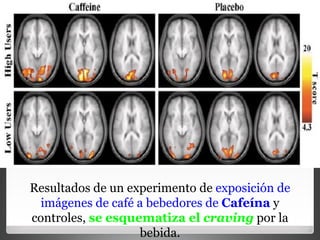 Resultados de un experimento de  exposición de imágenes de café a bebedores de  Cafeína  y controles,  se esquematiza el  craving  por la bebida. 