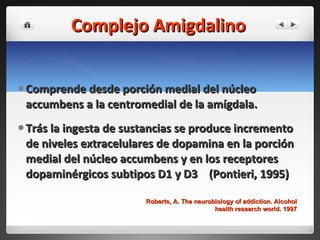 Complejo Amigdalino Comprende desde porción medial del núcleo accumbens a la centromedial de la amígdala. Trás la ingesta de sustancias se produce incremento de niveles extracelulares de dopamina en la porción medial del núcleo accumbens y en los receptores dopaminérgicos subtipos D1 y D3  (Pontieri, 1995)  Roberts, A. The neurobiology of addiction. Alcohol health research world. 1997 