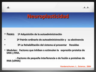 Neuroplasticidad Fases :  1ª Adquisición de la autoadministración 2ª Patrón ordinario de autoadministración y  su abstinencia 3ª La Rehabilitación del sistema al presentar  Recaídas Modulan:  Factores que inhiben o estimulen la  expresión proteíca de DNA y RNA. - Factores de pequeña interferencia o de fusión a proteínas de RNA (siRNA) Vanderschunen, L., Science., 2004 