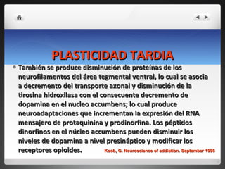 PLASTICIDAD TARDIA También se produce disminución de proteínas de los neurofilamentos del área tegmental ventral, lo cual se asocia a decremento del transporte axonal y disminución de la tirosina hidroxilasa con el consecuente decremento de dopamina en el nucleo accumbens; lo cual produce neuroadaptaciones que incrementan la expresión del RNA mensajero de protaquinina y prodinorfina. Los péptidos dinorfinos en el núcleo accumbens pueden disminuir los niveles de dopamina a nivel presináptico y modificar los receptores opioides. Koob, G. Neuroscience of addiction. September 1998 