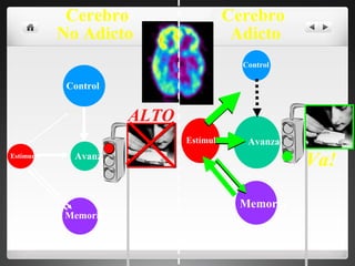 Cerebro No Adicto  Cerebro  Adicto Avanza Estímunlo Memoria Control ALTO Va! Drive Memory Saliency  Control Avanza Memoria Estímulo  