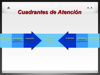 Cuadrantes de Atención   Tratamiento Integral Completo Diagnóstico Dual Integrado PRINCIPIANTE Sólo tratamiento  para la Adicción INTERMEDIO Apto para  Diagnostico Dual AVANZADO Reforzado para Diagnóstico Dual PRINCIPIANTE Sólo tratamiento Psiquiátrico INTERMEDIO Apto para  Diagnostico Dual AVANZADO Reforzado para Diagnóstico Dual 