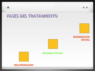 FASES DEL TRATAMIENTO RECUPERACION REHABILITACION REINSERCION SOCIAL 