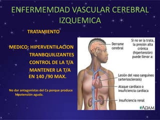 ENFERMEMDAD VASCULAR CEREBRAL
IZQUEMICA
TRATAMIENTO
MEDICO: HIPERVENTILACION
TRANBQUILIZANTES
CONTROL DE LA T/A
MANTENER LA T/A
EN 140 /90 MAX.
No dar antagonistas del Ca porque produce
hipotensión aguda.
 