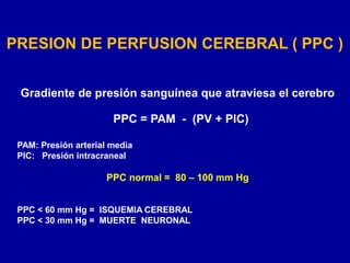 Ppc Normal ECV_Cueva | PPT