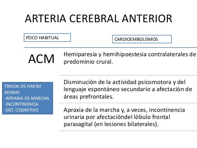 Se hinchan a veces las venas en los pies