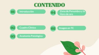 CONTENIDO
01 Introducción
02 Cuadro Clínico
03 Anatomía Patológica
04 Zona de Penumbra y la
Hora de oro
05 Imagen en TC
 