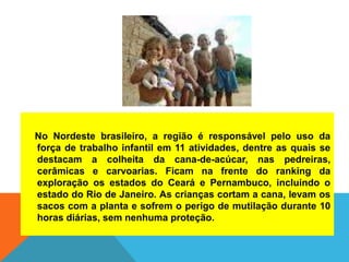 No Nordeste brasileiro, a região é responsável pelo uso da
força de trabalho infantil em 11 atividades, dentre as quais se
destacam a colheita da cana-de-acúcar, nas pedreiras,
cerâmicas e carvoarias. Ficam na frente do ranking da
exploração os estados do Ceará e Pernambuco, incluindo o
estado do Rio de Janeiro. As crianças cortam a cana, levam os
sacos com a planta e sofrem o perigo de mutilação durante 10
horas diárias, sem nenhuma proteção.
 