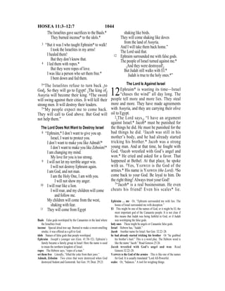 Evd english bible_80)_old_testament