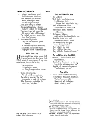 Evd english bible_80)_old_testament