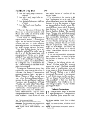 170NUMBERS 13:12–14:2
12 from Dan’s family group—Ammiel son
of Gemalli;
13 from Asher’s family group—Sethur son
of Michael;
14 from Naphtali’s family group—Nahbi son
of Vophsi;
15 from Gad’s family group—Geuel son
of Maki.
16Those are the names of the men that
Moses sent to look at and study the land.
(Moses called Hoshea son of Nun by another
name. Moses called him Joshua.)
17When Moses was sending them out to
explore Canaan, he said, “Go through the
Negev* and then into the hill country. 18See
what the land looks like. Learn about the
people who live there. Are they strong or are
they weak? Are they few or are they many?
19Learn about the land that they live in. Is it
good land or bad land? What kind of towns do
they live in? Do the towns have walls
protecting them? Are the towns strongly
defended? 20And learn other things about the
land. Is the dirt good for growing things, or is
it poor soil? Are there trees on the land? Also,
try to bring back some of the fruit from that
land.” (This was during the time when the ﬁrst
grapes should be ripe.)
21So they went to explore the country. They
explored the area from the Zin desert to
Rehob and Lebo Hamath. 22They entered the
country through the Negev* and went to
Hebron. (The town of Hebron was built seven
years before the town of Zoan in Egypt.)
Ahiman, Sheshai, and Talmai lived there.
These men were descendants* of Anak.
23Then the men went to Eshcol Valley. There,
the men cut off a branch from a grapevine.
The branch had a bunch of grapes on it. They
put that branch on a pole. And two men
carried it between them. They also carried
some pomegranates,* and ﬁgs. 24That place is
called the Eshcol* Valley, because that is the
place where the men of Israel cut off the
bunch of grapes.
25The men explored that country for 40
days. Then they went back to the camp. 26The
people of Israel were camped near Kadesh, in
the desert of Paran. The men went to Moses
and Aaron and all the Israelite people. The
men told Moses, Aaron, and all the people
about the things they saw. And they showed
them the fruit from the land. 27The men told
Moses, “We went to the land where you sent
us. It is a land ﬁlled with many good things*!
Here is some of the fruit that grows there.
28But the people living there are very
powerful. The cities are very large. The cities
are strongly defended. We even saw some
Anakite* people there. 29The Amalekite
people live in the Negev.* The Hittites, the
Jebusites, and the Amorites live in the hill
country. The Canaanites live near the sea and
by the Jordan River.”
30Caleb told the people near Moses to be
quiet. Then Caleb said, “We should go up and
take that land for ourselves. We can easily
take that land.”
31But the men that had gone with him said,
“We can’t ﬁght those people! They are much
stronger than we are.” 32And those men told
all the people of Israel that they were not
strong enough to defeat the people in that
land. They said, “The land we saw is full of
strong people. Those people are strong enough
to easily defeat any person who goes there.
33We saw the giant Nephilim* people there!
(The descendants* of Anak come from the
Nephilim people.) They looked at us like we
were little grasshoppers. Yes, we were like
grasshoppers to them!”
The People Complain Again
14That night all the people in the camp
began yelling loudly. 2The people of
Israel complained against Moses and Aaron.
Negev The desert area south of Judah.
descendants A person’s children and their future families.
pomegranates A red fruit with many small seeds inside it. Each
seed is covered with the soft, juicy part of the fruit.
Eshcol This name is like the Hebrew word meaning “a bunch
of grapes.”
ﬁlled with many good things Literally, “ﬂowing with milk and
honey.”
Anakite These people were famous for being big, powerful
ﬁghters.
Nephilim A famous family of tall and powerful ﬁghting men.
See Gen. 6:2-4.
 
