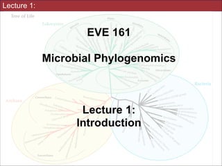 Lecture 1:

EVE 161: 
Microbial Phylogenomics
!

Lecture #1:
Introduction
!
UC Davis, Winter 2014
Instructor: Jonathan Eisen

Slides for UC Davis EVE161 Course Taught by Jonathan Eisen Winter 2014

!1

 