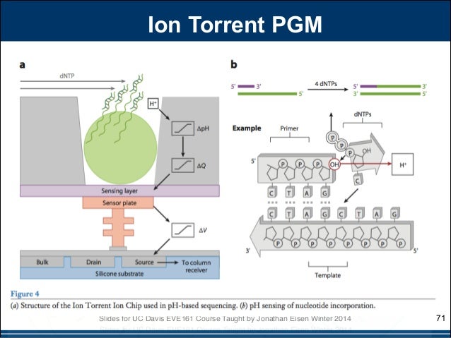ion torrent workflow eve161 lecture 2 ion torrent workflow eve161 lecture 2