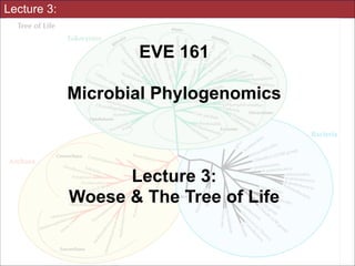 Lecture 3:

EVE 161: 
Microbial Phylogenomics
!

Lecture #3:
Era I: Woese and the Tree of Life
!
UC Davis, Winter 2014
Instructor: Jonathan Eisen

Slides for UC Davis EVE161 Course Taught by Jonathan Eisen Winter 2014

 
