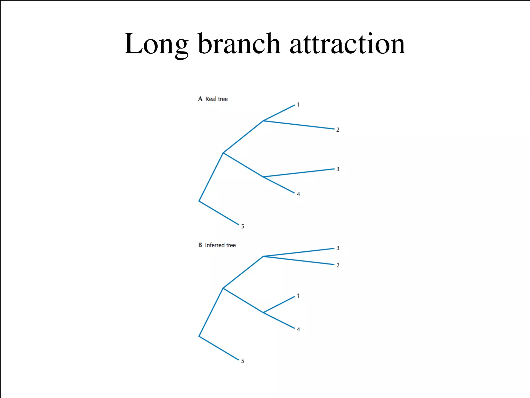 Long branch attraction

Slides for UC Davis EVE161 Course Taught by Jonathan Eisen Winter 2014

!12

 