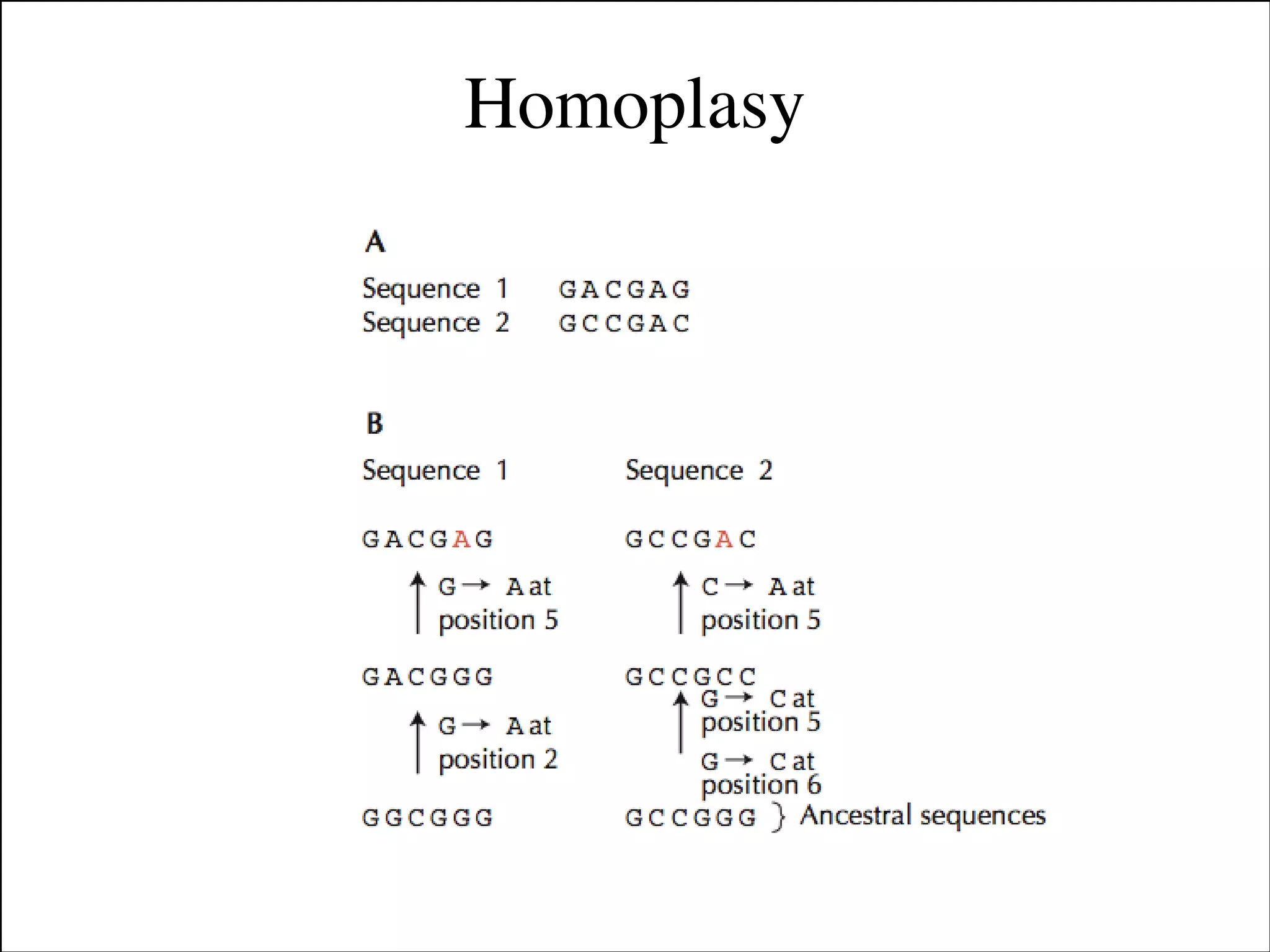 Homoplasy

Slides for UC Davis EVE161 Course Taught by Jonathan Eisen Winter 2014

!13

 