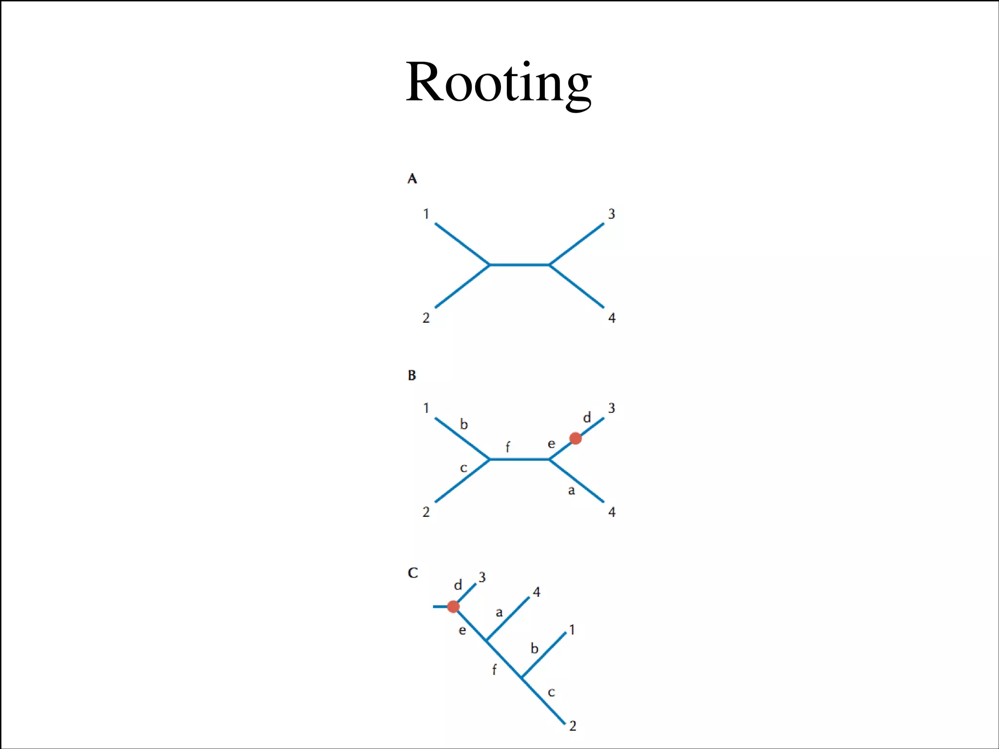 Rooting

Slides for UC Davis EVE161 Course Taught by Jonathan Eisen Winter 2014

!17

 