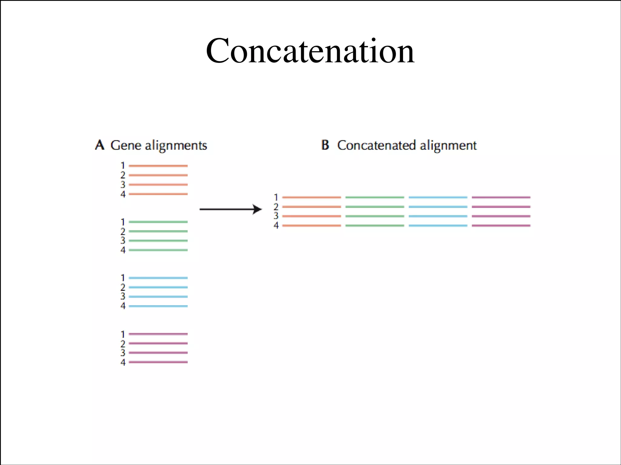 Concatenation

Slides for UC Davis EVE161 Course Taught by Jonathan Eisen Winter 2014

!19

 