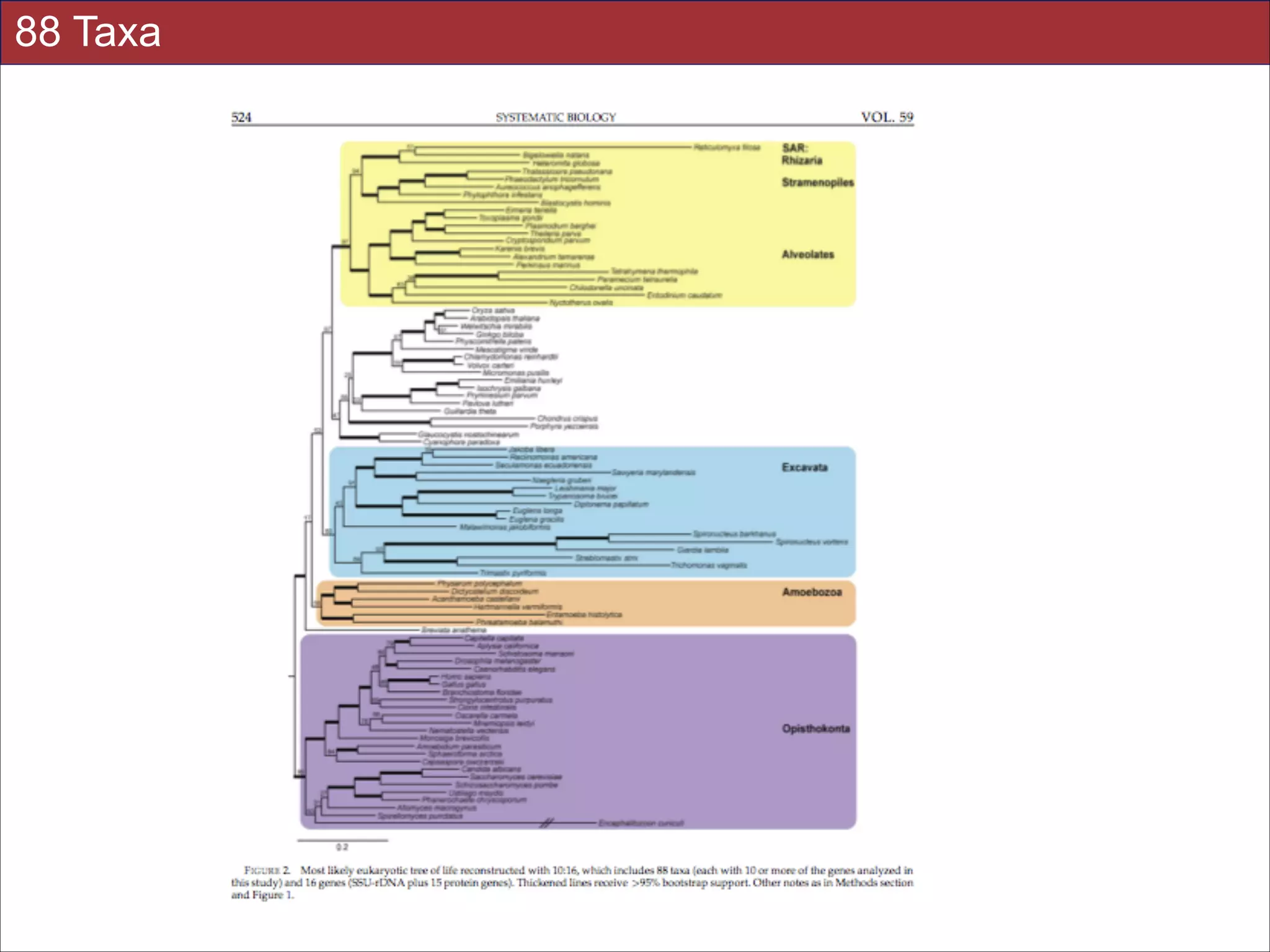 88 Taxa

Slides for UC Davis EVE161 Course Taught by Jonathan Eisen Winter 2014

!30

 