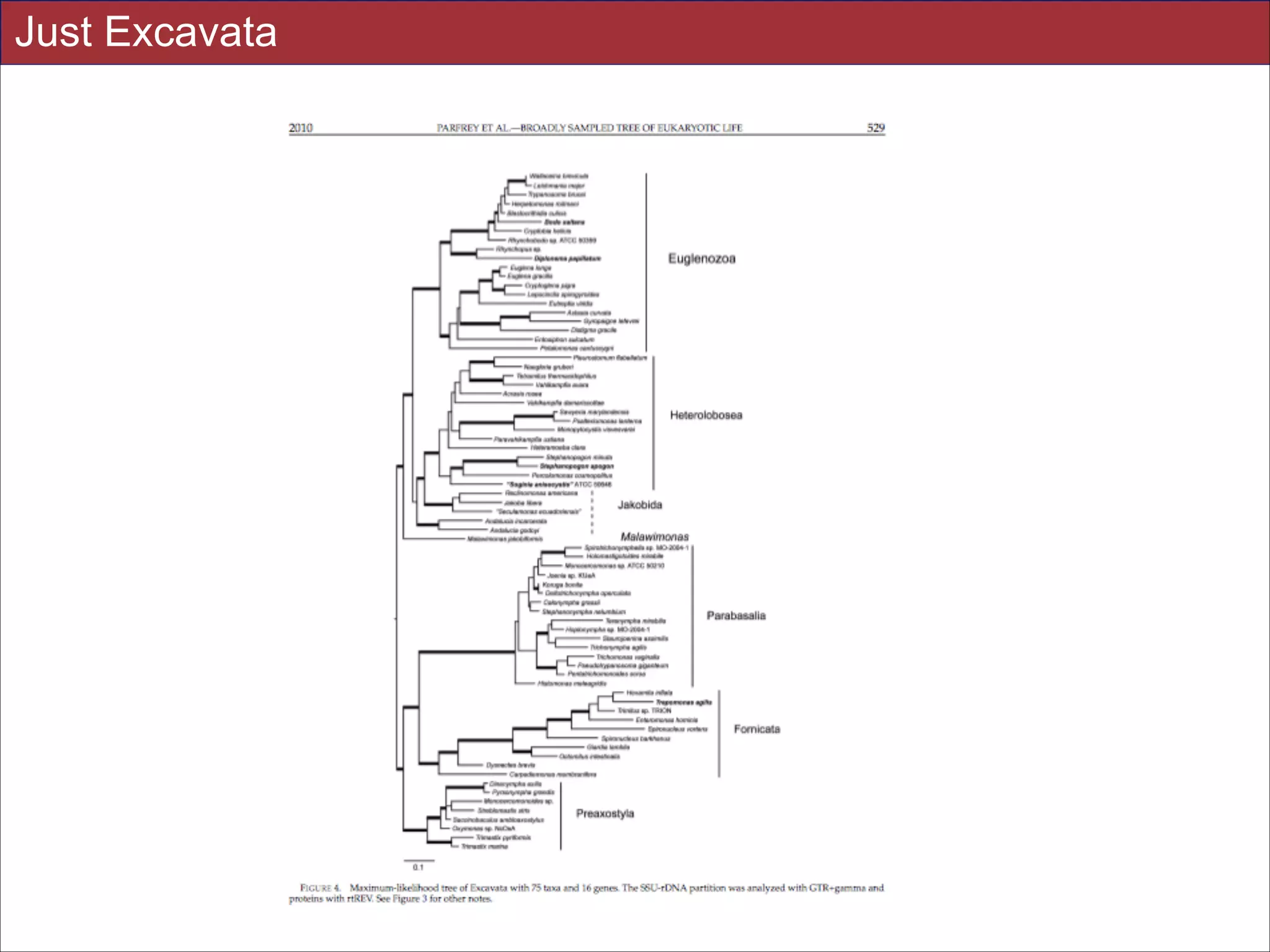 Just Excavata

Slides for UC Davis EVE161 Course Taught by Jonathan Eisen Winter 2014

!34

 