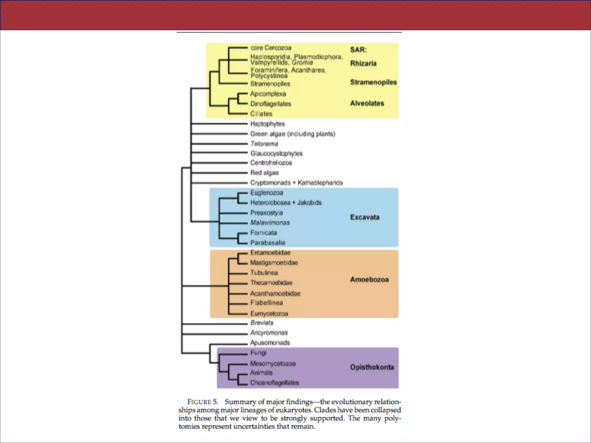 Slides for UC Davis EVE161 Course Taught by Jonathan Eisen Winter 2014

!35

 