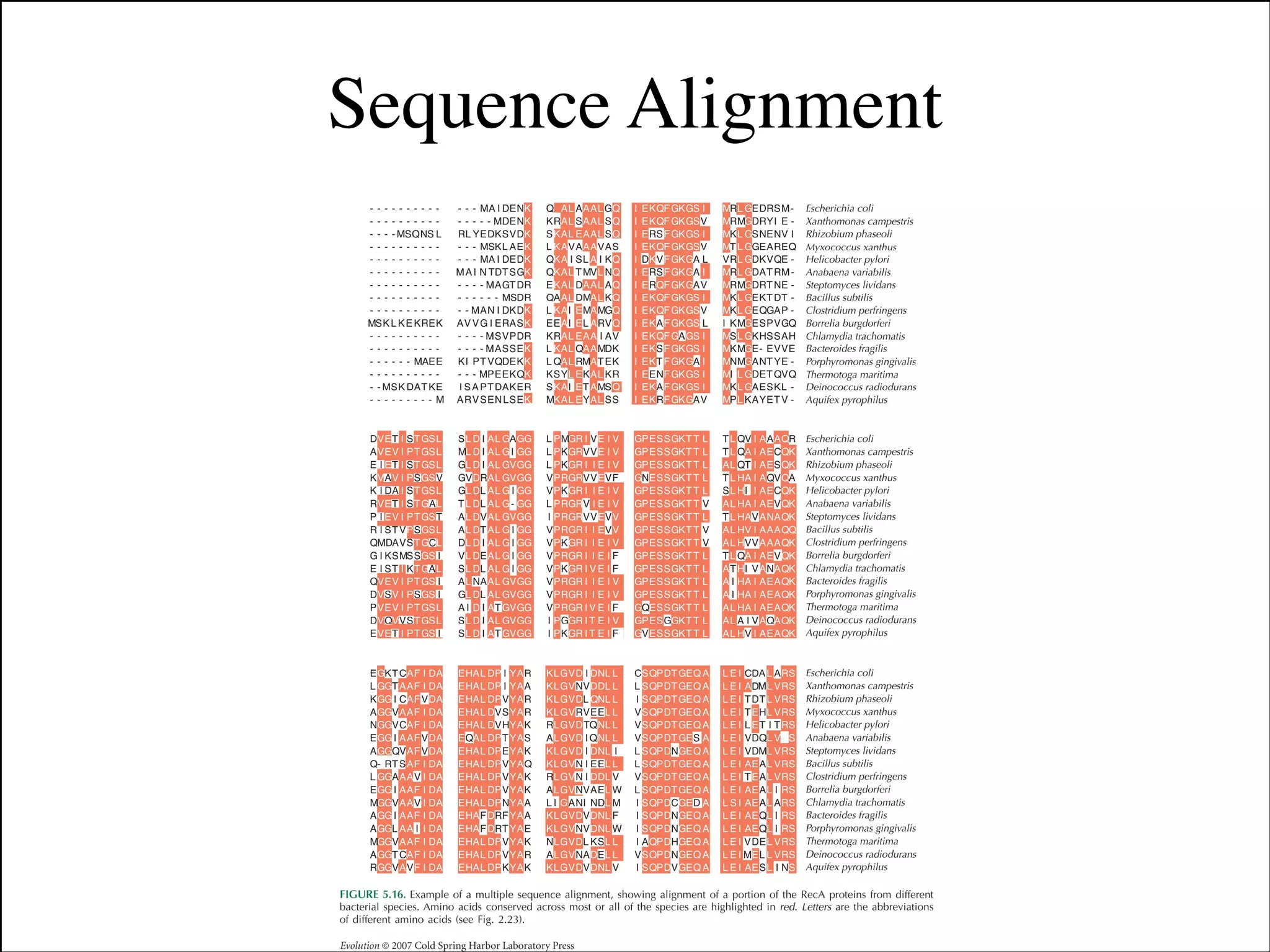 Sequence Alignment

Slides for UC Davis EVE161 Course Taught by Jonathan Eisen Winter 2014

!9

 