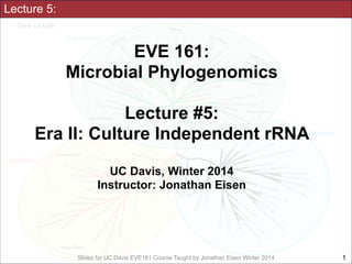 Lecture 5:

EVE 161: 
Microbial Phylogenomics
!

Lecture #5:
Era II: Culture Independent rRNA
!
UC Davis, Winter 2014
Instructor: Jonathan Eisen

Slides for UC Davis EVE161 Course Taught by Jonathan Eisen Winter 2014

!1

 