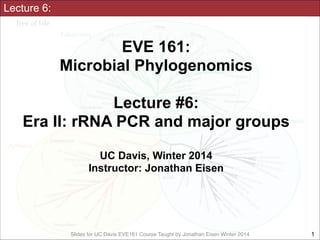 Lecture 6:

EVE 161: 
Microbial Phylogenomics
!

Lecture #6:
Era II: rRNA PCR and major groups
!
UC Davis, Winter 2014
Instructor: Jonathan Eisen

Slides for UC Davis EVE161 Course Taught by Jonathan Eisen Winter 2014

!1

 
