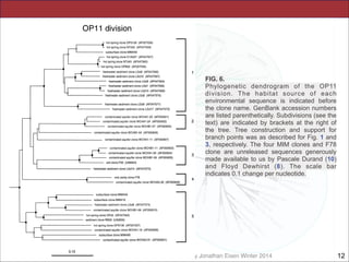 FIG. 6.
Phylogenetic dendrogram of the OP11
division. The habitat source of each
environmental sequence is indicated before
the clone name. GenBank accession numbers
are listed parenthetically. Subdivisions (see the
text) are indicated by brackets at the right of
the tree. Tree construction and support for
branch points was as described for Fig. 1 and
3, respectively. The four MIM clones and F78
clone are unreleased sequences generously
made available to us by Pascale Durand (10)
and Floyd Dewhirst (8). The scale bar
indicates 0.1 change per nucleotide.

Slides for UC Davis EVE161 Course Taught by Jonathan Eisen Winter 2014

!12

 