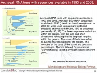 Archaeal rRNA trees with sequences available in 1993 and 2008.

Archaeal rRNA trees with sequences available in
1993 and 2008. Archaeal SSU rRNA sequences
available in 1993 (classic archaeal tree) (A) and in
2008 (B) were used in maximum likelihood
bootstrap analysis with RAxML (64) as described
previously (56, 57). The boxes represent radiations
within the groups, with the long and short
dimensions reflecting the line segment lengths
within the groups. The sizes of the boxes reflect
sequence representation for the groups. The
numbers at the base of the boxes are bootstrap
percentages. The box labeled Environmental
“Euryarchaeota” is not a phylogenetically coherent
group.

Pace N R Microbiol. Mol. Biol. Rev. 2009;73:565-576

Slides for UC Davis EVE161 Course Taught by Jonathan Eisen Winter 2014

!22

 
