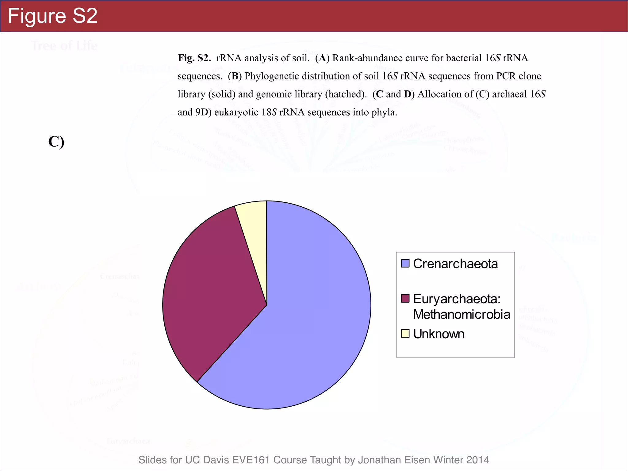 Slides for UC Davis EVE161 Course Taught by Jonathan Eisen Winter 2014
Figure S2 Science Supporting Online Material
Tringe et al., p. 12
Fig. S2. rRNA analysis of soil. (A) Rank-abundance curve for bacterial 16S rRNA
sequences. (B) Phylogenetic distribution of soil 16S rRNA sequences from PCR clone
library (solid) and genomic library (hatched). (C and D) Allocation of (C) archaeal 16S
and 9D) eukaryotic 18S rRNA sequences into phyla.
A)
Soil bacterial 16S sequences
0
20
40
60
80
100
120
0
50
100
150
200
250
300
350
400
450
500
550
600
650
700
750
800
Rank
Abundance
C)
Crenarchaeota
Euryarchaeota:
Methanomicrobia
Unknown
 