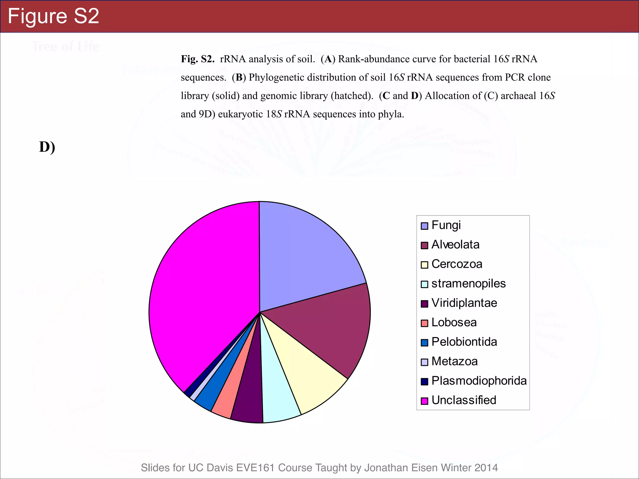 Slides for UC Davis EVE161 Course Taught by Jonathan Eisen Winter 2014
Figure S2 Science Supporting Online Material
Tringe et al., p. 12
Fig. S2. rRNA analysis of soil. (A) Rank-abundance curve for bacterial 16S rRNA
sequences. (B) Phylogenetic distribution of soil 16S rRNA sequences from PCR clone
library (solid) and genomic library (hatched). (C and D) Allocation of (C) archaeal 16S
and 9D) eukaryotic 18S rRNA sequences into phyla.
A)
Soil bacterial 16S sequences
0
20
40
60
80
100
120
0
50
100
150
200
250
300
350
400
450
500
550
600
650
700
750
800
Rank
Abundance
Science Supporting Online Material
Tringe et al., p. 14
D)
Fungi
Alveolata
Cercozoa
stramenopiles
Viridiplantae
Lobosea
Pelobiontida
Metazoa
Plasmodiophorida
Unclassified
 