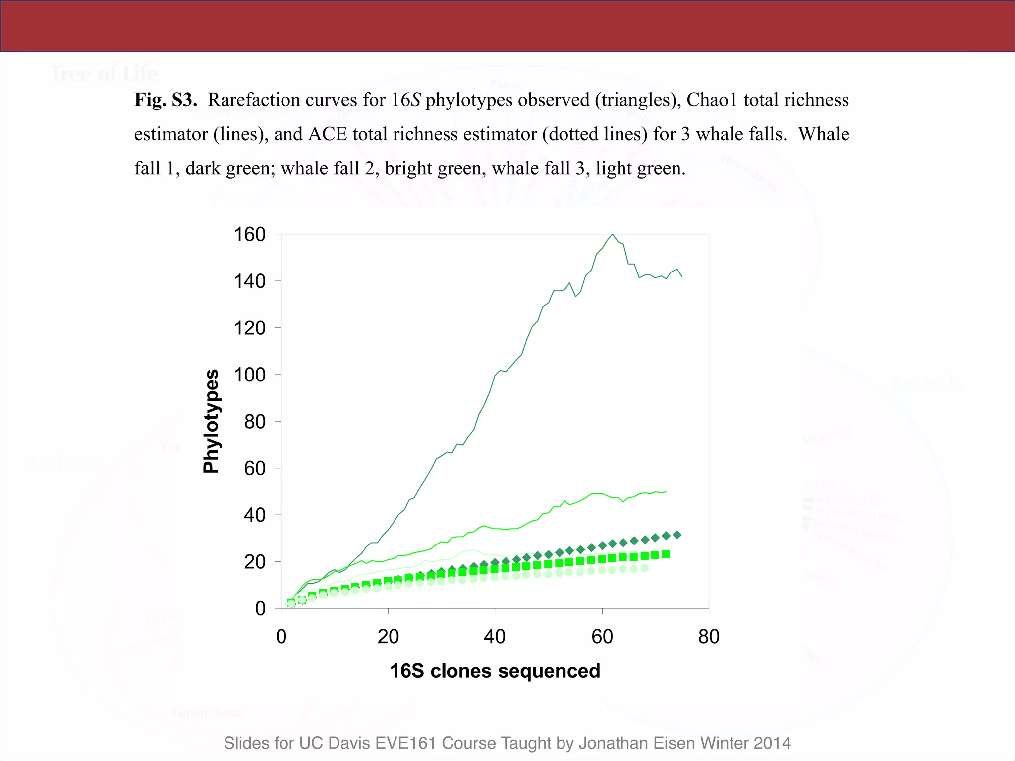 Slides for UC Davis EVE161 Course Taught by Jonathan Eisen Winter 2014
Science Supporting Online Material
Tringe et al., p. 15
Fig. S3. Rarefaction curves for 16S phylotypes observed (triangles), Chao1 total richness
estimator (lines), and ACE total richness estimator (dotted lines) for 3 whale falls. Whale
fall 1, dark green; whale fall 2, bright green, whale fall 3, light green.
0
20
40
60
80
100
120
140
160
0 20 40 60 80
16S clones sequenced
Phylotypes
 