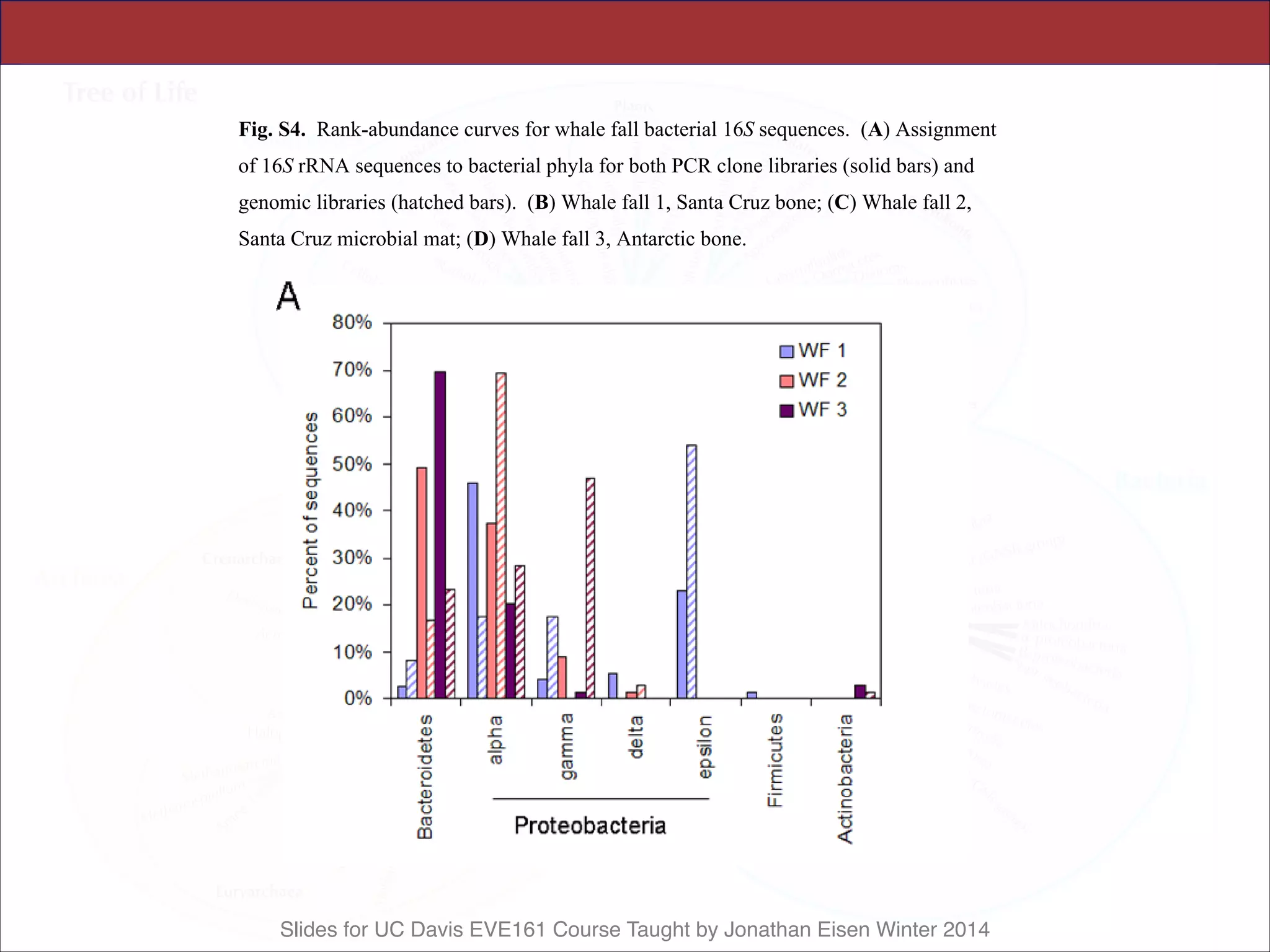 Slides for UC Davis EVE161 Course Taught by Jonathan Eisen Winter 2014
Science Supporting Online Material
Tringe et al., p. 16
Fig. S4. Rank-abundance curves for whale fall bacterial 16S sequences. (A) Assignment
of 16S rRNA sequences to bacterial phyla for both PCR clone libraries (solid bars) and
genomic libraries (hatched bars). (B) Whale fall 1, Santa Cruz bone; (C) Whale fall 2,
Santa Cruz microbial mat; (D) Whale fall 3, Antarctic bone.
 
