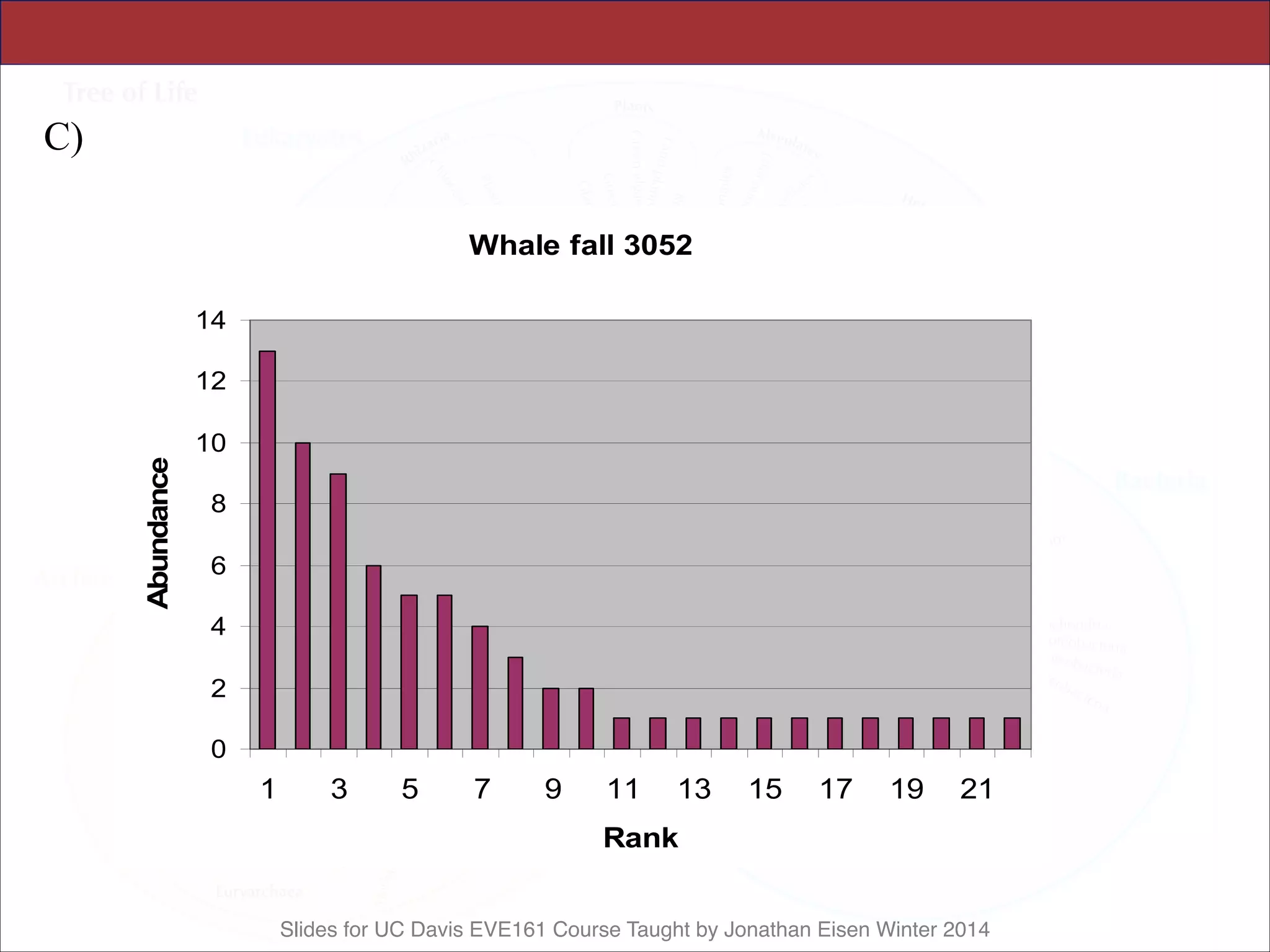 Slides for UC Davis EVE161 Course Taught by Jonathan Eisen Winter 2014
Rank
C)
Whale fall 3052
0
2
4
6
8
10
12
14
1 3 5 7 9 11 13 15 17 19 21
Rank
Abundance
 