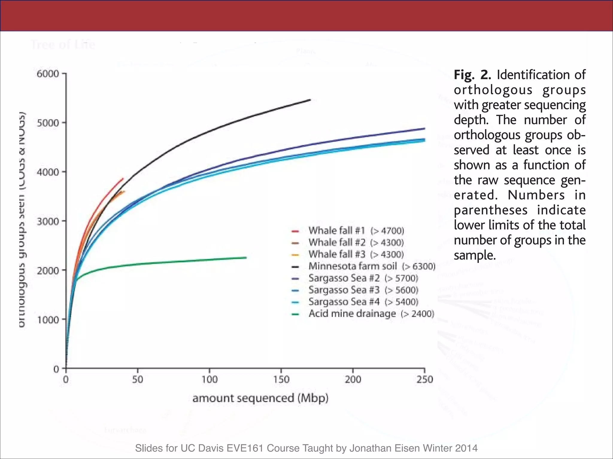 Slides for UC Davis EVE161 Course Taught by Jonathan Eisen Winter 2014
ronmental DNA (3–7). The application of
high-throughput shotgun sequencing environ-
mental samples has recently provided global
Fig. 2. Identification of
orthologous groups
with greater sequencing
depth. The number of
orthologous groups ob-
served at least once is
shown as a function of
the raw sequence gen-
erated. Numbers in
parentheses indicate
lower limits of the total
number of groups in the
sample.
*S.G.T. and C.v.M. contributed equally to this work.
.To whom correspondence should be addressed.
E-mail: emrubin@lbl.gov
RIL 2005 VOL 308 SCIENCE www.sciencemag.org
 