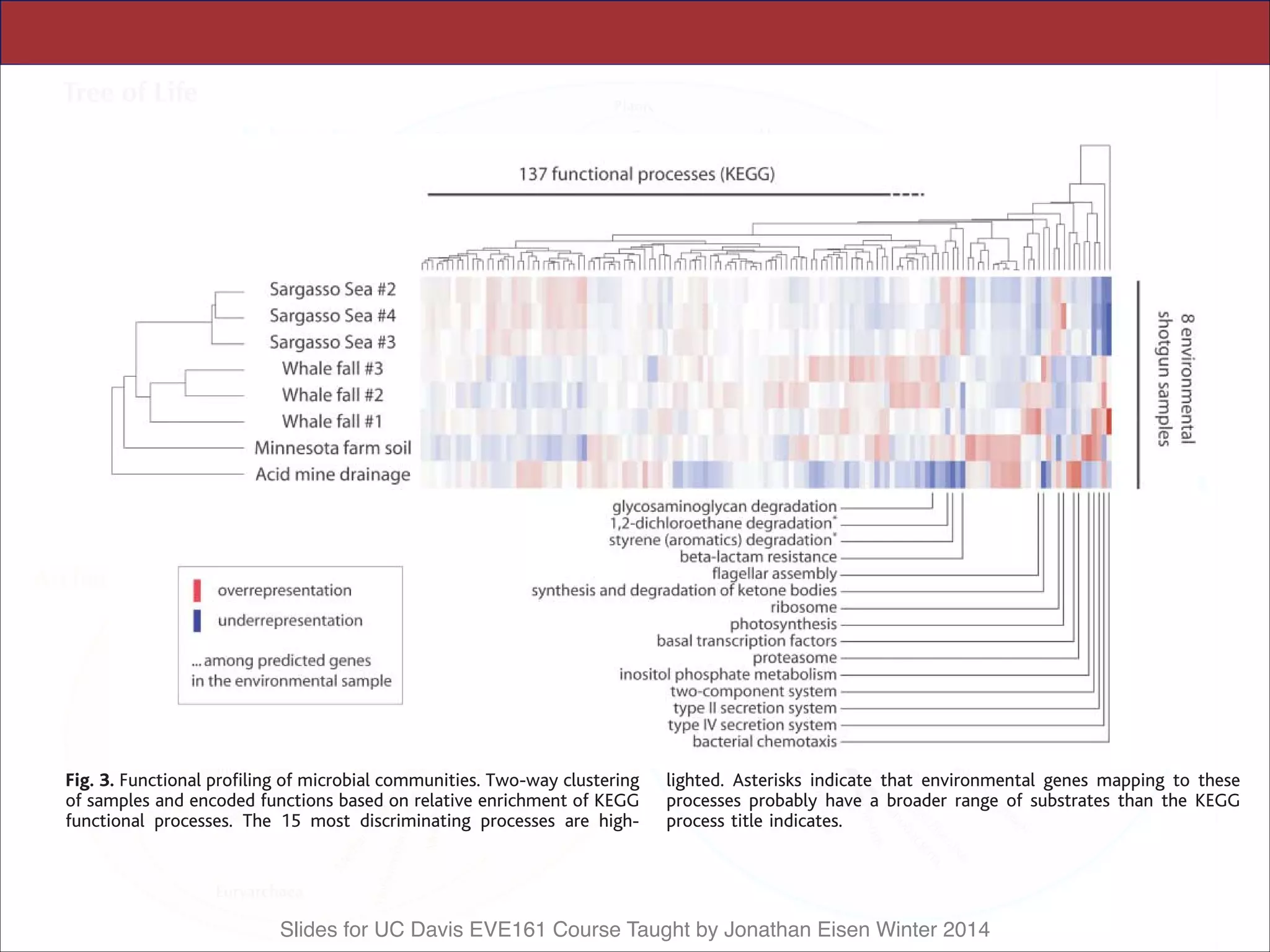 Slides for UC Davis EVE161 Course Taught by Jonathan Eisen Winter 2014
unicellular eukaryotes were found (fig. S2).
We sequenced a total of 1700 clones from two
independent libraries of PCR-amplified bacte-
rial 16S rRNA sequences prepared from the
sample, attempts at sequence assembly were
largely unsuccessful. Less than 1% of the nearly
150,000 reads generated from the soil library
exhibited overlap with reads from independent
mental sequence an environmental gene tag
(EGT), to distinguish EGTs from the sequenc-
ing reads primarily used for the assembly of
genomes. The gene contents of the partially
Fig. 3. Functional profiling of microbial communities. Two-way clustering
of samples and encoded functions based on relative enrichment of KEGG
functional processes. The 15 most discriminating processes are high-
lighted. Asterisks indicate that environmental genes mapping to these
processes probably have a broader range of substrates than the KEGG
process title indicates.
www.sciencemag.org SCIENCE VOL 308 22 APRIL 2005 555
 