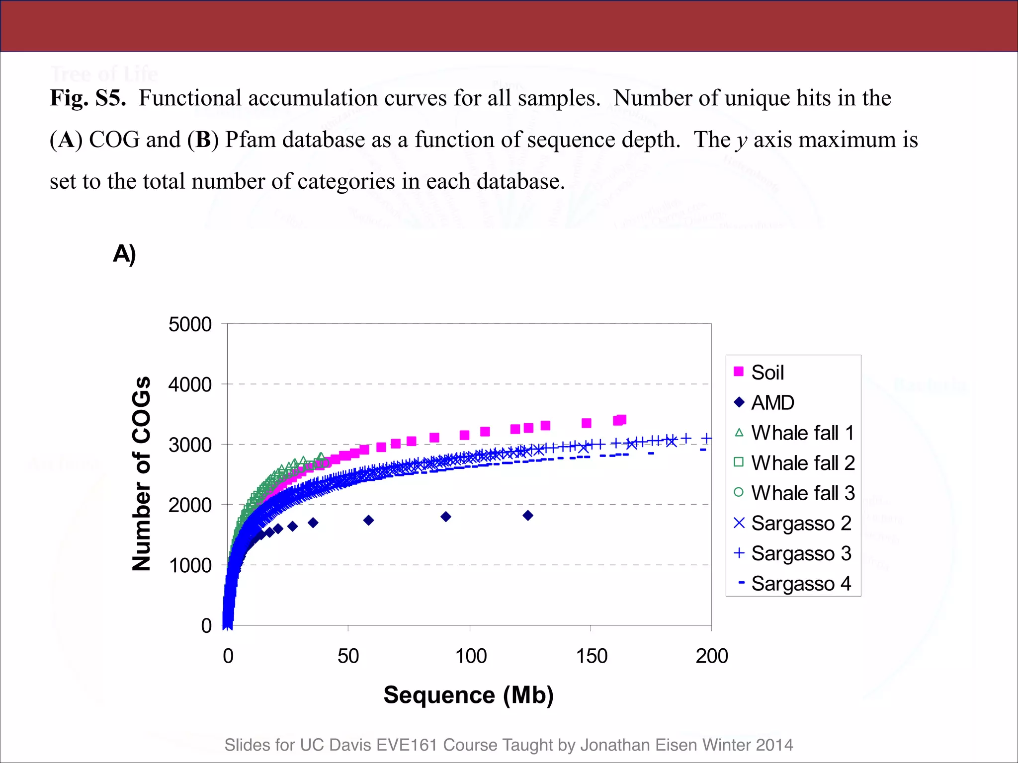 Slides for UC Davis EVE161 Course Taught by Jonathan Eisen Winter 2014
Science Supporting Online Material
Tringe et al., p. 19
Fig. S5. Functional accumulation curves for all samples. Number of unique hits in the
(A) COG and (B) Pfam database as a function of sequence depth. The y axis maximum is
set to the total number of categories in each database.
A)
0
1000
2000
3000
4000
5000
0 50 100 150 200
Sequence (Mb)
NumberofCOGs
Soil
AMD
Whale fall 1
Whale fall 2
Whale fall 3
Sargasso 2
Sargasso 3
Sargasso 4
 