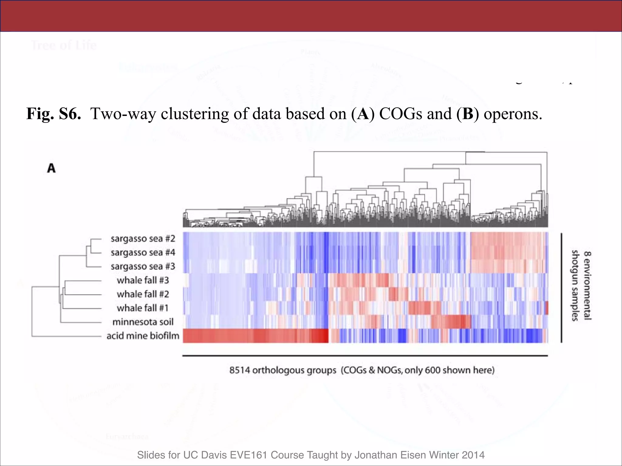 Slides for UC Davis EVE161 Course Taught by Jonathan Eisen Winter 2014
Science Supporting Online Material
Tringe et al., p. 20
Fig. S6. Two-way clustering of data based on (A) COGs and (B) operons.
 