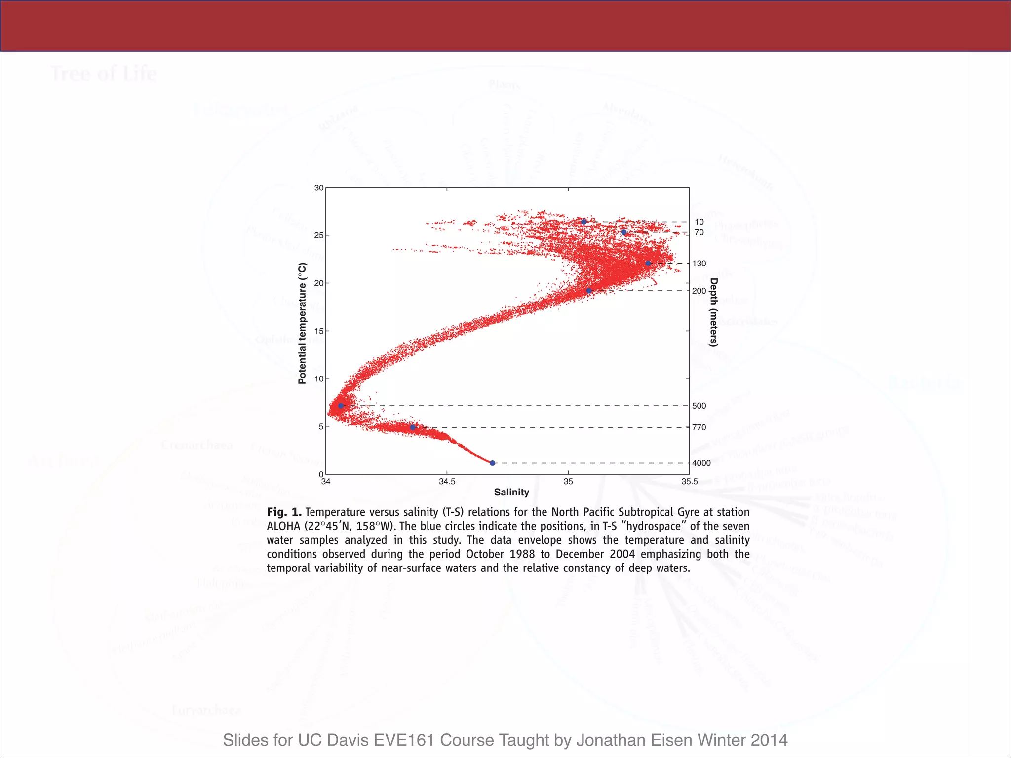Slides for UC Davis EVE161 Course Taught by Jonathan Eisen Winter 2014
(figs. S5 and S6). The general patterns of archaeal
distribution we observed were consistent with pre-
viousfieldsurveys(15, 25, 26). Recovery of ‘‘group
II’’ planktonic Euryarchaeota genomic DNA was
greatest in the upper water column and declined
below the photic zone. This distribution corrob-
orates recent observations of ion-translocating pho-
toproteins (called proteorhodopsins), now known
to occur in group II Euryarchaeota inhabiting the
photic zone (27). ‘‘Group III’’ Euryarchaeota DNA
was recovered at all depths, but at a much lower
frequency (figs. S5 and S6). A novel crenarchaeal
group, closely related to a putatively thermophilic
Crenarchaeota (28), was observed at the greatest
depths (fig. S6).
Vertically Distributed Genes
and Metabolic Pathways
The depths sampled were specifically chosen to
capture microbial sequences at discrete biogeo-
chemical zones in the water column encompassing
key physicochemical features (Tables 1 and 2,
Fig. 1; figs. S1 and S2). To evaluate sequences
from each depth, fosmid end sequences were
compared against different databases including
the Kyoto Encyclopedia of Genes and Genomes
(KEGG) (29), National Center for Biotechnology
Information (NCBI)’s Clusters of Orthologous
Groups (COG) (30), and SEED subsystems (31).
After categorizing sequences from each depth in
BLAST searches (32) against each database, we
identified protein categories that were more or
less well represented in one sample versus an-
other, using cluster analysis (33, 34) and boot-
strap resampling methodologies (35).
Cluster analyses of predicted protein sequence
representation identified specific genes and meta-
bolic traits that were differentially distributed in
the water column (fig. S7). In the photic zone (10,
deoxyribopyrimidine photolyase, diaminopimelate
decarboxylase, membrane guanosine triphospha-
tase (GTPase) with the lysyl endopeptidase gene
product LepA, and branched-chain amino acid–
transport system components (fig. S8). In con-
trast, COGs with greater representation in
deep-water samples included transposases, sev-
eral dehydrogenase categories, and integrases
(fig. S8). Sequences more highly represented in
the deep-water samples in SEED subsystem (31)
that track major depth-variable environmental
features. Specifically, sequence homologs found
only in the photic zone unique sequences (from
10, 70, and 130 m), or deepwater unique
sequences (from 500, 770, and 4000 m) were
identified (Fig. 3). To categorize potential
functions encoded in these photic zone unique
(PZ) or deep-water unique (DW) sequence
bins, each was compared with KEGG, COG,
and NCBI protein databases in separate analy-
34 34.5 35 35.5
0
5
10
15
20
25
30
10
70
130
200
500
770
4000
Potentialtemperature(°C)
Depth(meters)
Salinity
Fig. 1. Temperature versus salinity (T-S) relations for the North Pacific Subtropical Gyre at station
ALOHA (22-45’N, 158-W). The blue circles indicate the positions, in T-S ‘‘hydrospace’’ of the seven
water samples analyzed in this study. The data envelope shows the temperature and salinity
conditions observed during the period October 1988 to December 2004 emphasizing both the
temporal variability of near-surface waters and the relative constancy of deep waters.
ESEARCH ARTICLES
 
