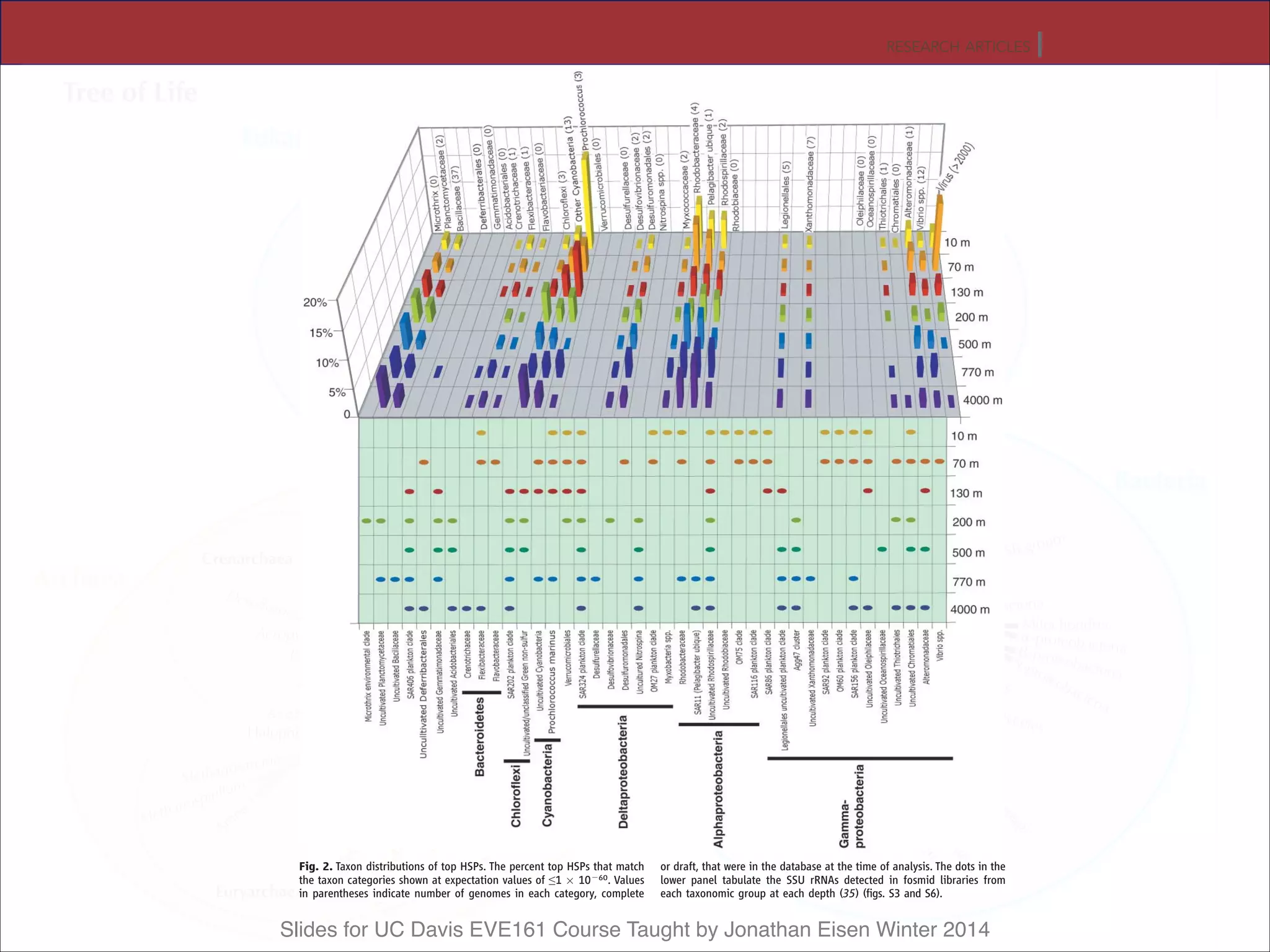 Slides for UC Davis EVE161 Course Taught by Jonathan Eisen Winter 2014ly flagellar motor and hook protein-encoding DW sequences were enriched in several like genes); protein folding and processing (pre-
Fig. 2. Taxon distributions of top HSPs. The percent top HSPs that match
the taxon categories shown at expectation values of e1 Â 10j60. Values
in parentheses indicate number of genomes in each category, complete
or draft, that were in the database at the time of analysis. The dots in the
lower panel tabulate the SSU rRNAs detected in fosmid libraries from
each taxonomic group at each depth (35) (figs. S3 and S6).
RESEARCH ARTICLES
 