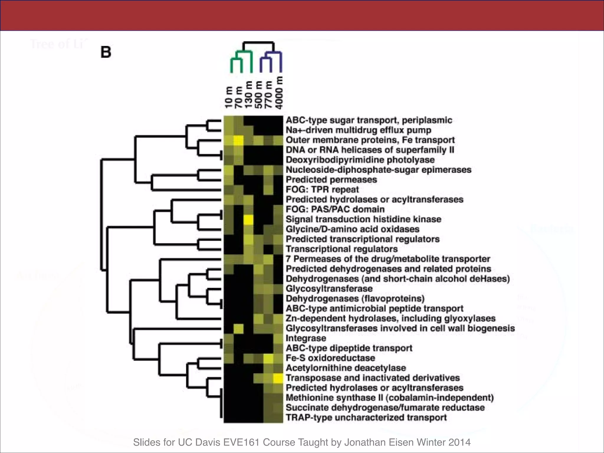 Slides for UC Davis EVE161 Course Taught by Jonathan Eisen Winter 2014
RESEARCH ARTICLES
 